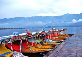 srinagar